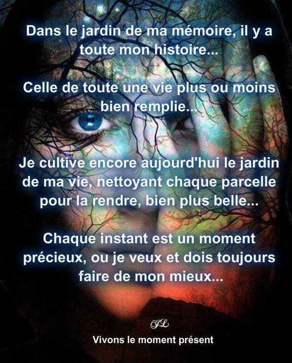 Citation